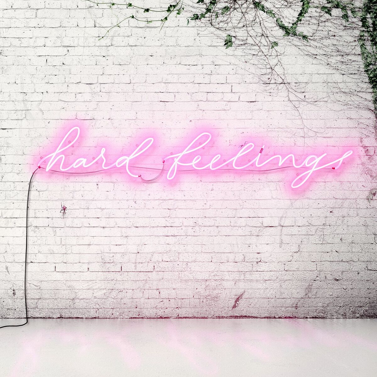 Album cover of Hard Feelings