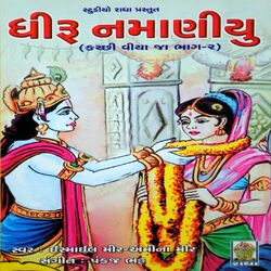 Cover of Dhiru Namaniyu, Vol. 2