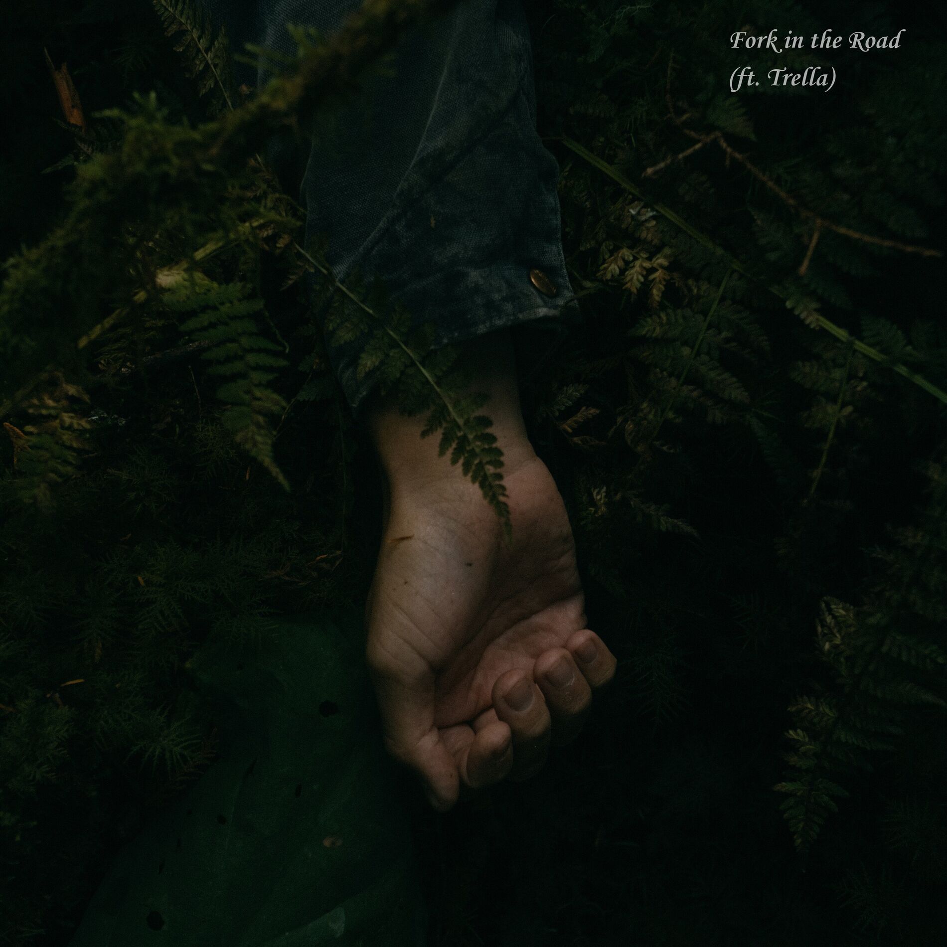 Album cover of Fork in the Road
