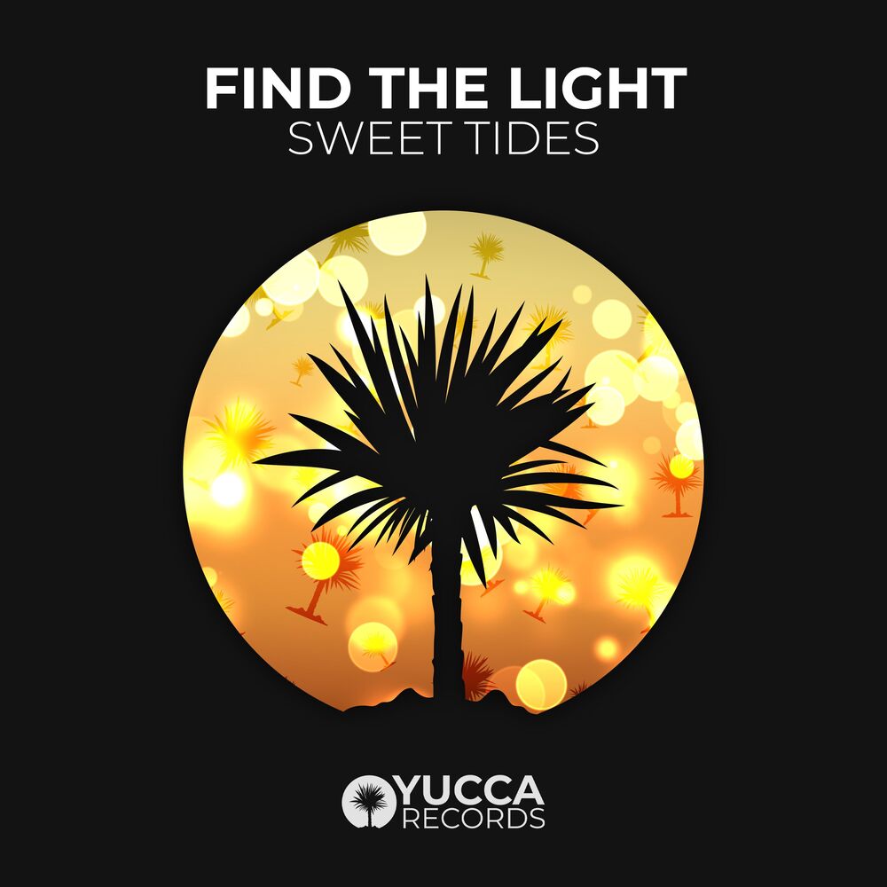 Picture of Find the Light