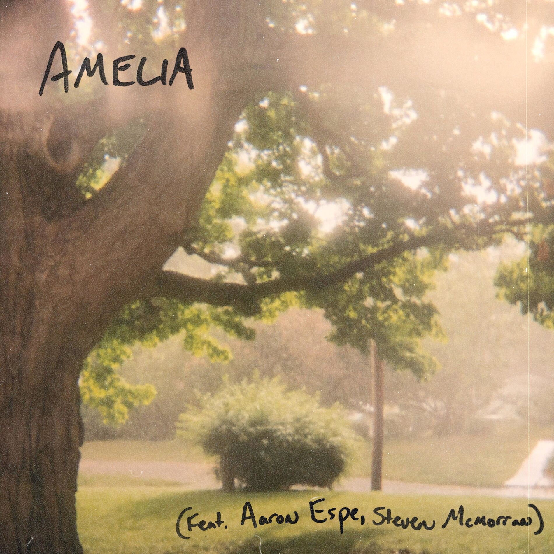 Album cover of Amelia (feat. Aaron Espe & Steven McMorran)