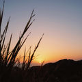 Dawn