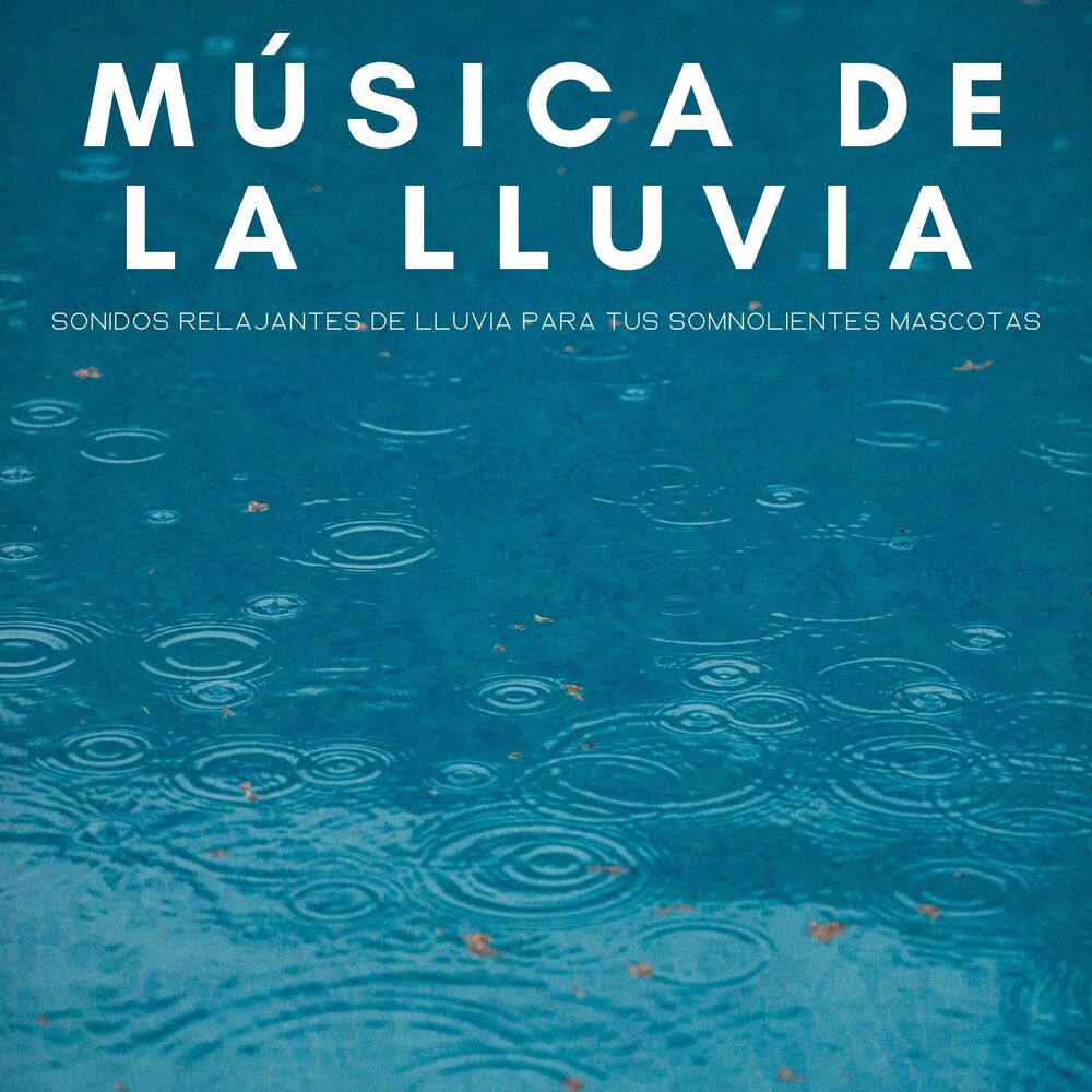 Picture of Música De La Lluvia: Sonidos Relajantes De Lluvia Para Tus Somnolientes Mascotas