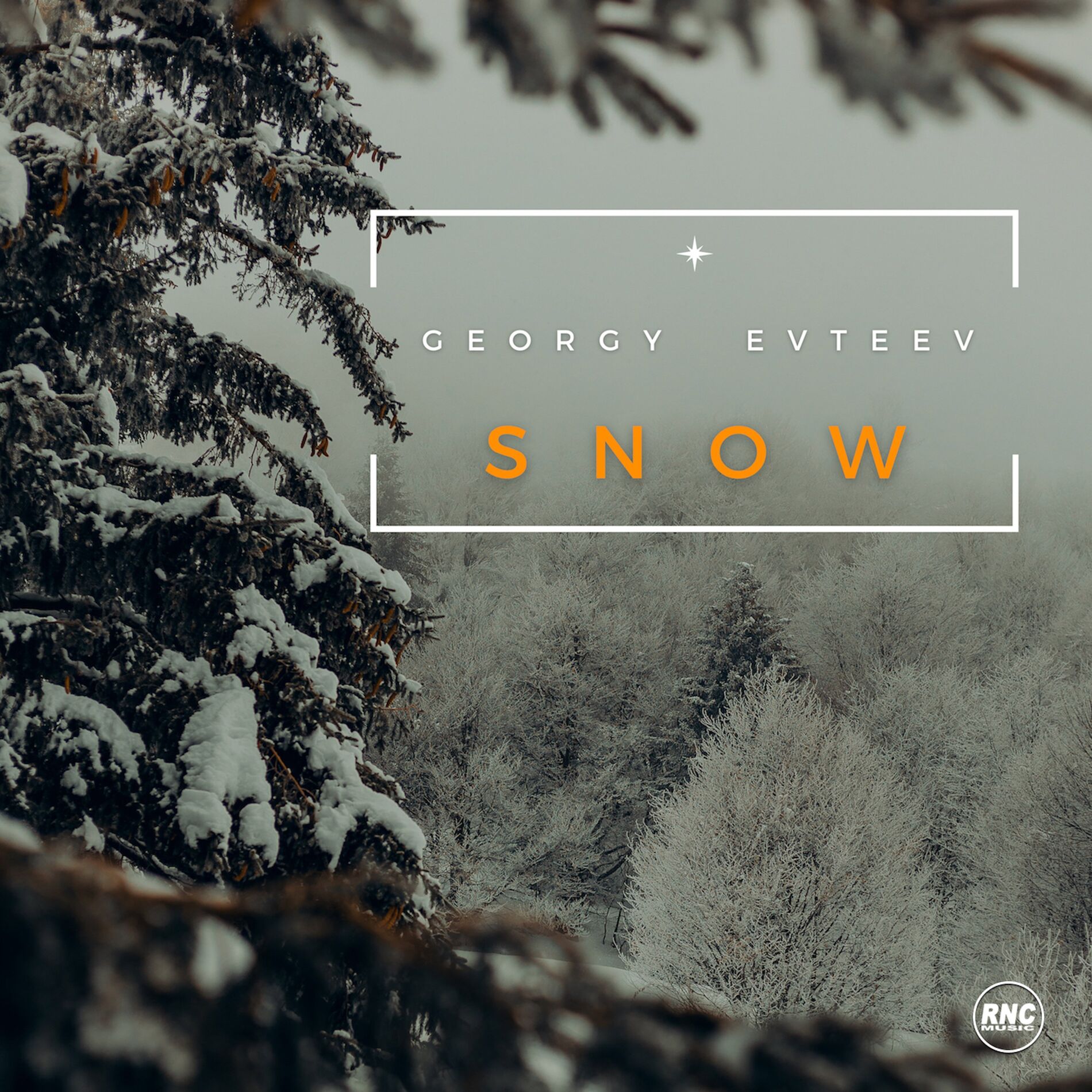 Album cover of Snow