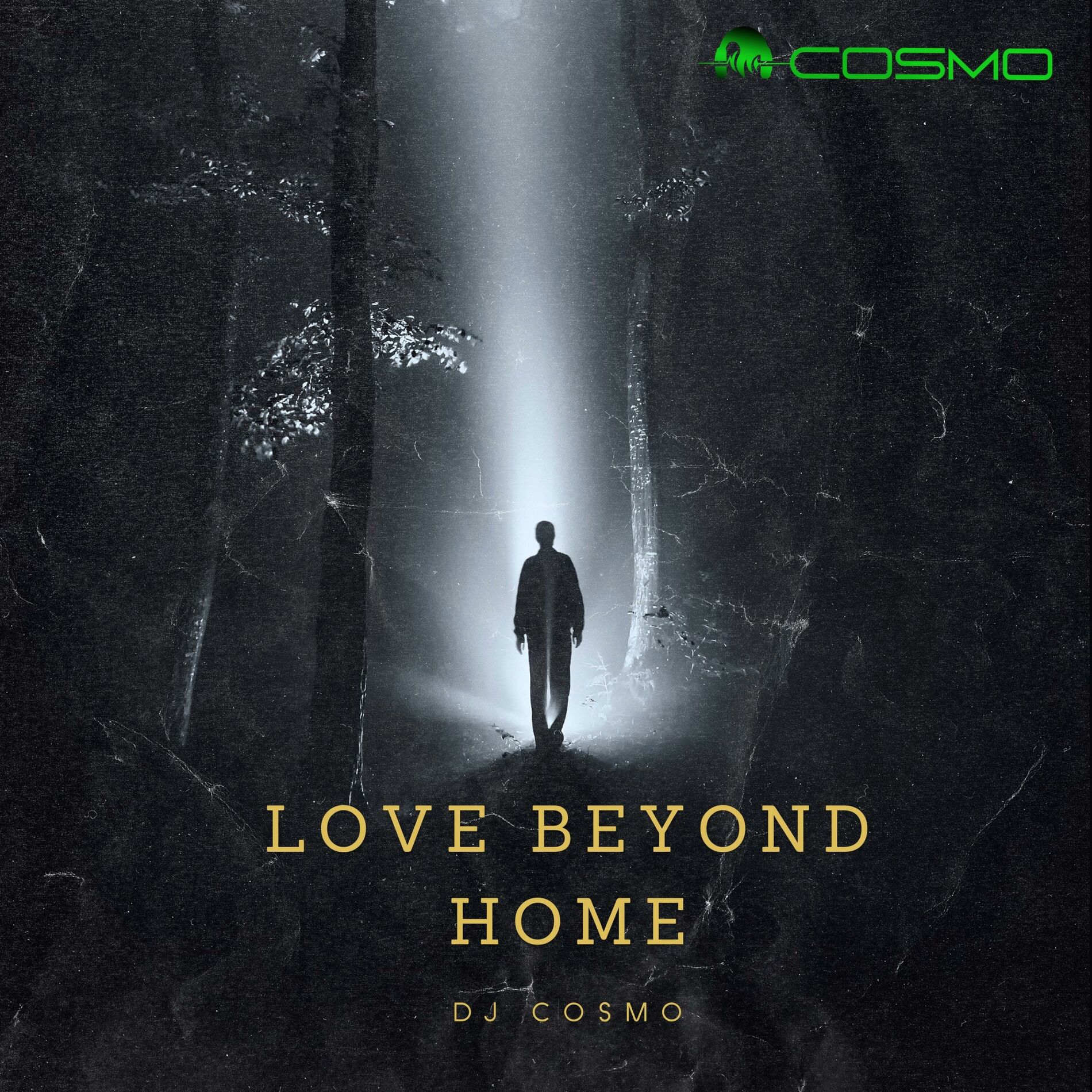 Album cover of Love Beyond Home