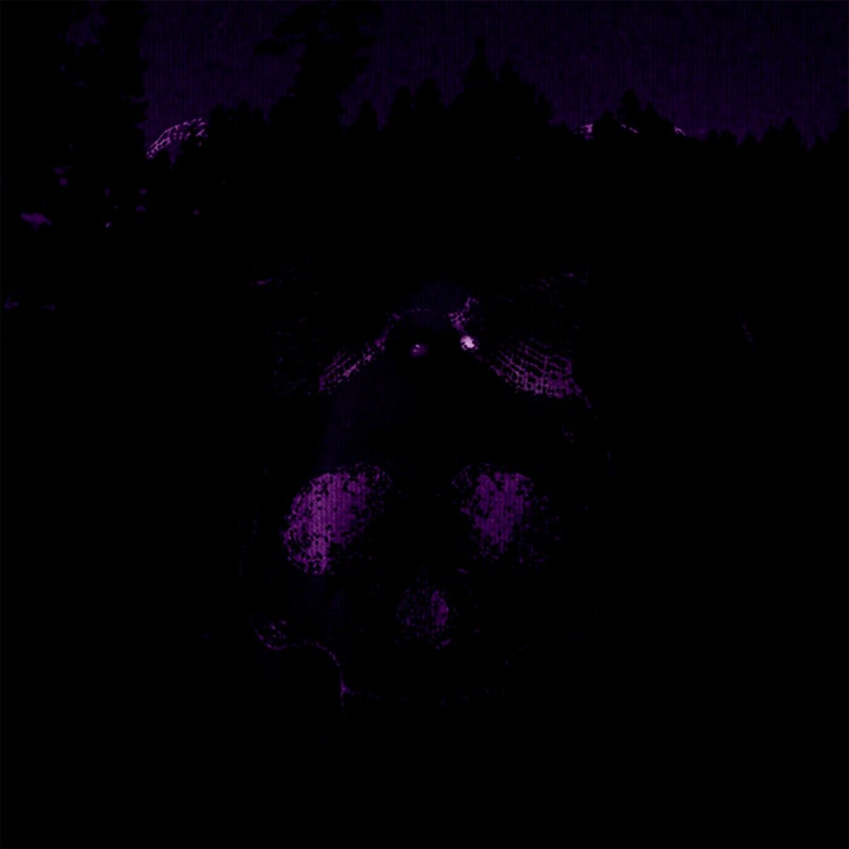 Album cover of DAS TREVAS