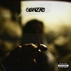 Cover of Cenizas