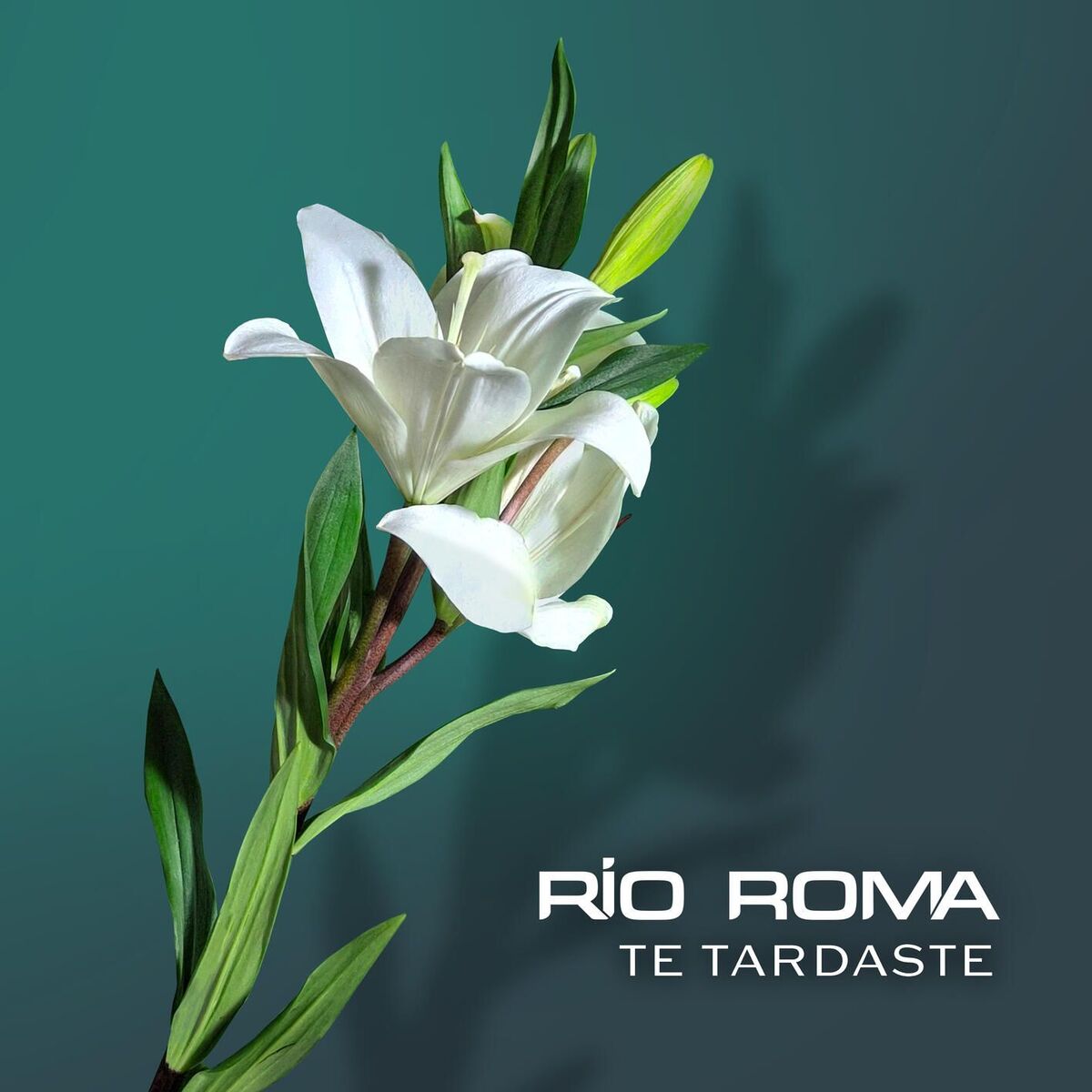 Album cover of Te Tardaste