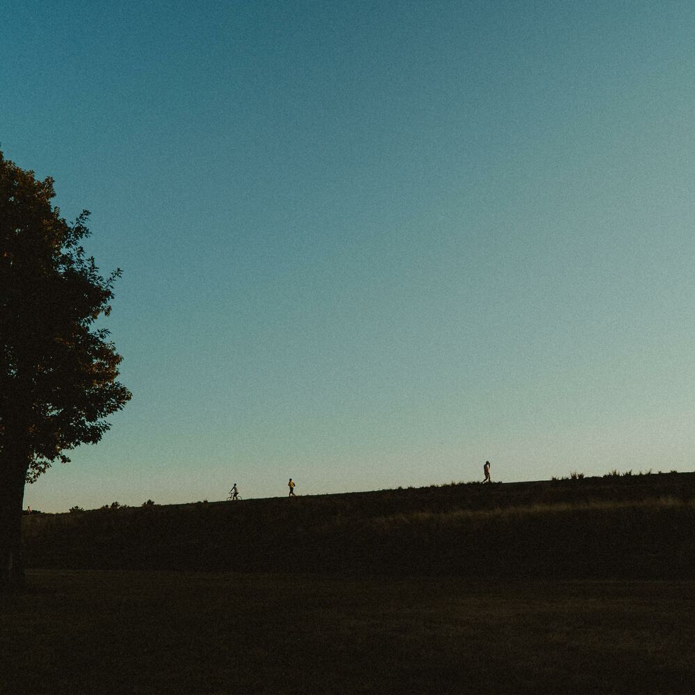 Picture of wandering through soft colors