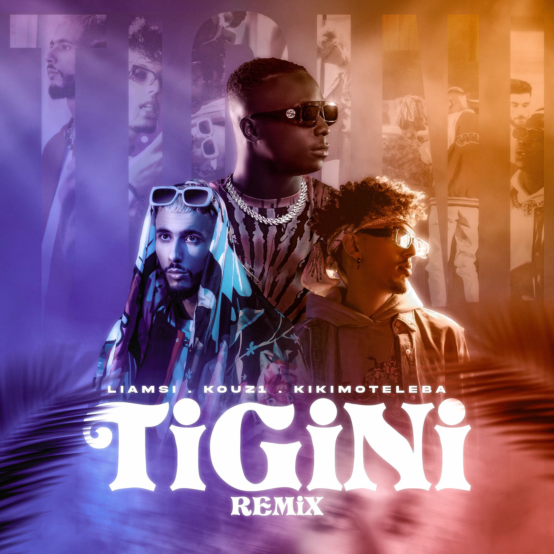 Album cover of Tigini North African Remix