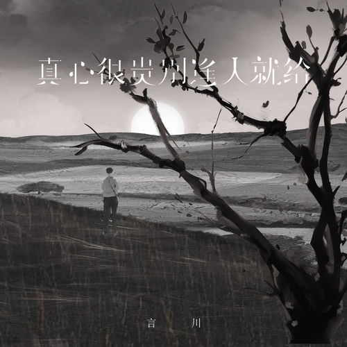 真心很贵别逢人就给