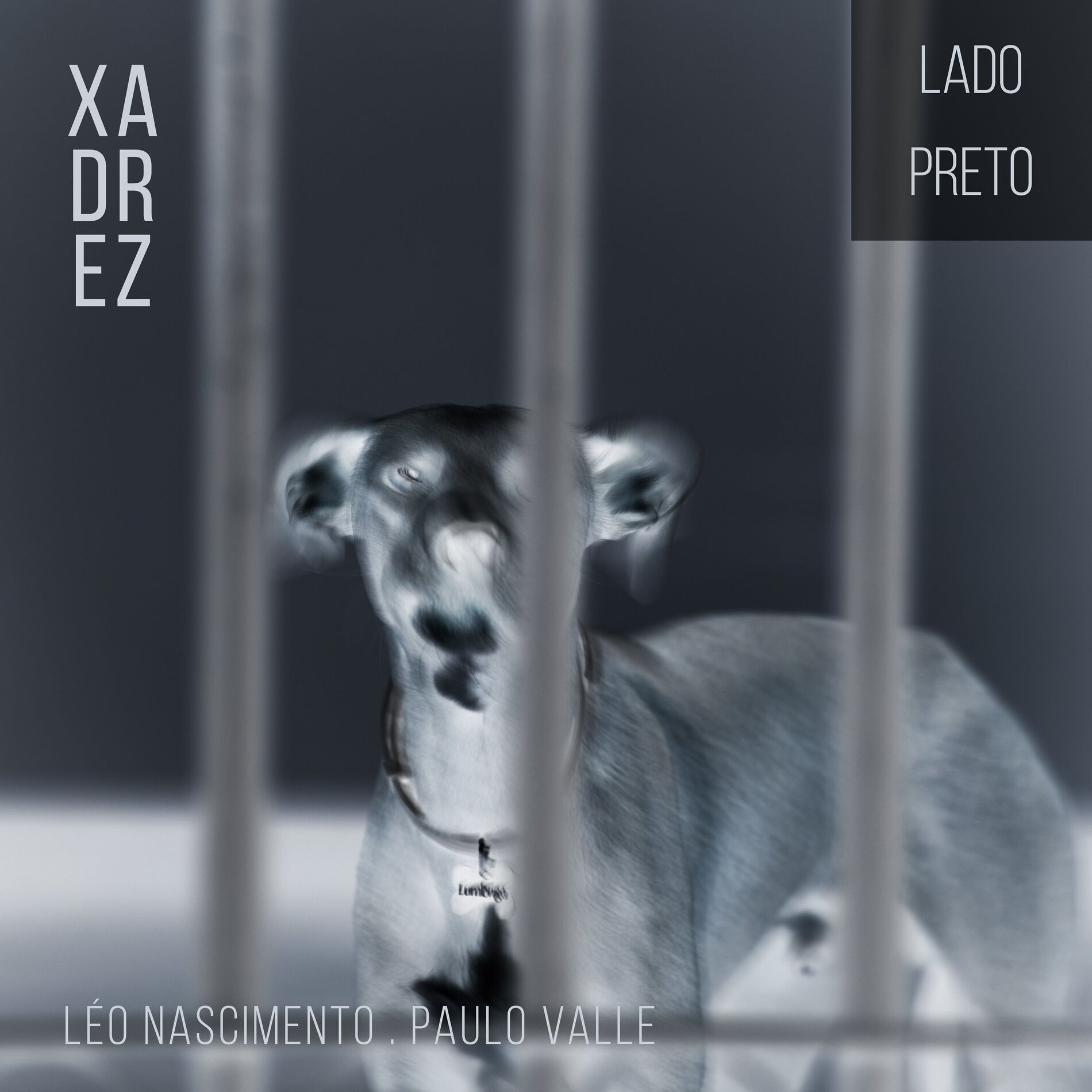 Album cover of A Beleza Está nos Olhos de Quem Vê