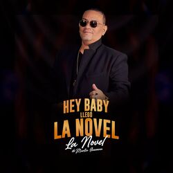 Cover of Hey Baby Llego la Novel
