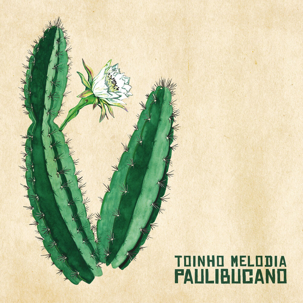 Picture of Paulibucano