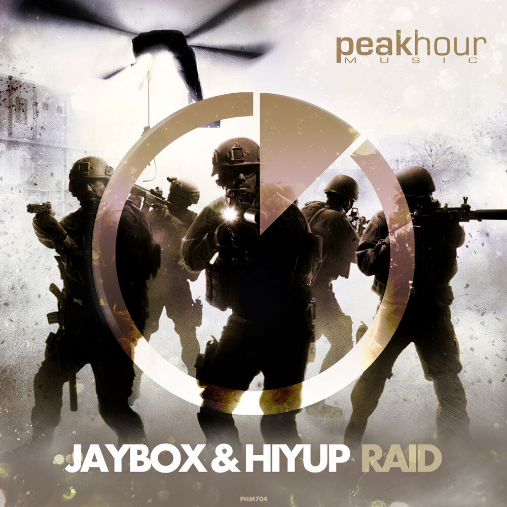 Picture of RAID