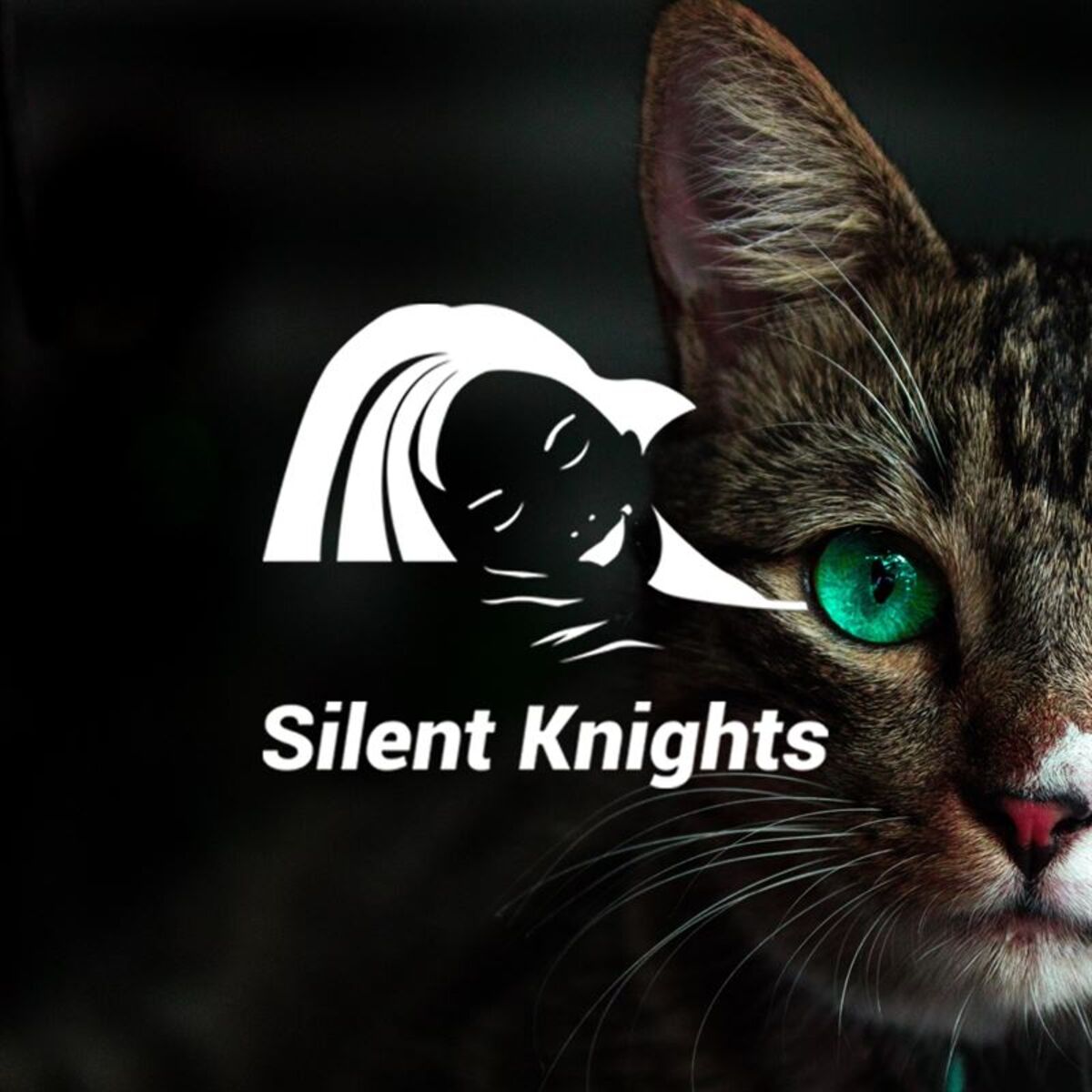 Album cover of Kittens Purring Less Bass (No Fade for Looping)
