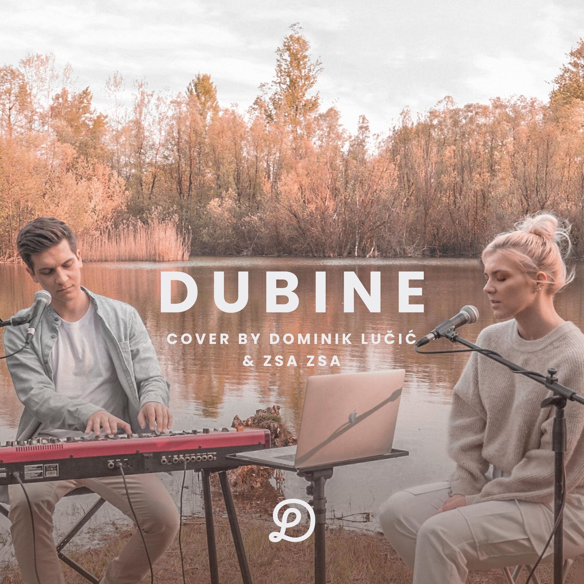 Album cover of Dubine (feat. ZSA ZSA)