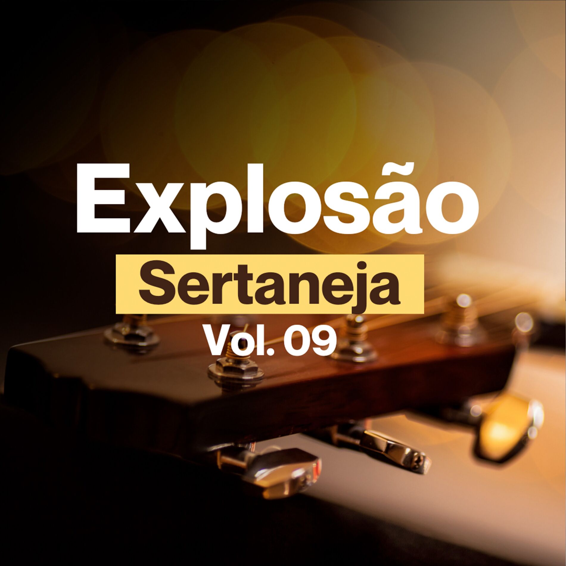 Album cover of Explosão Sertaneja, Vol. 09