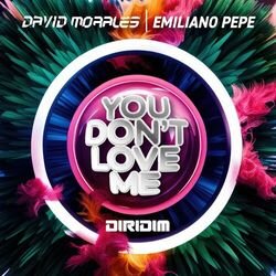 Cover of YOU DON'T LOVE ME