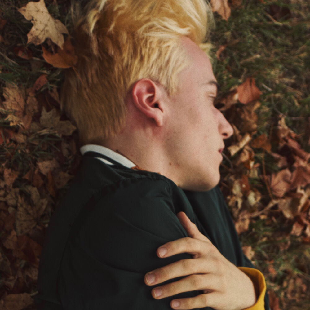Picture of Autumn Coat