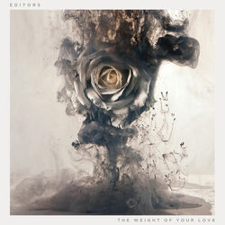 Cover of The Weight of Your Love