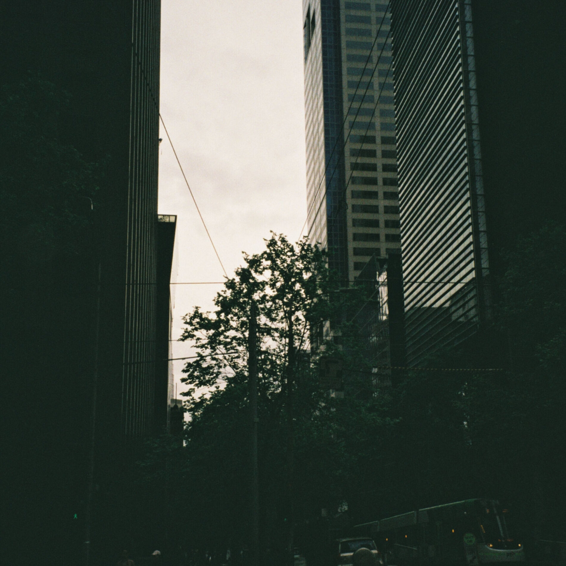 Album cover of Intention
