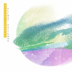 Cover of Flight Patterns