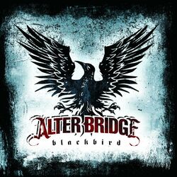 Cover of Blackbird
