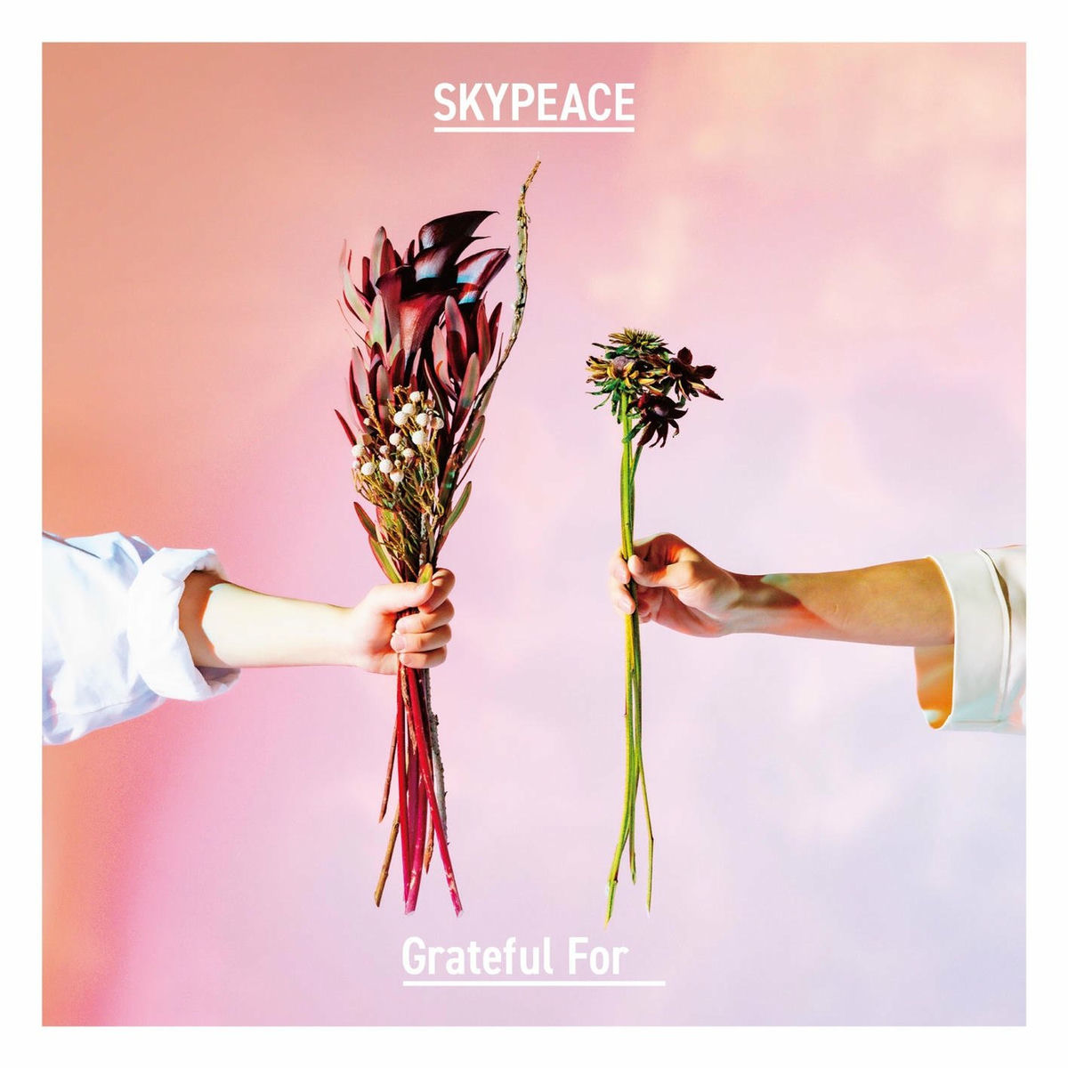 Skypeace: albums, songs, concerts | Deezer