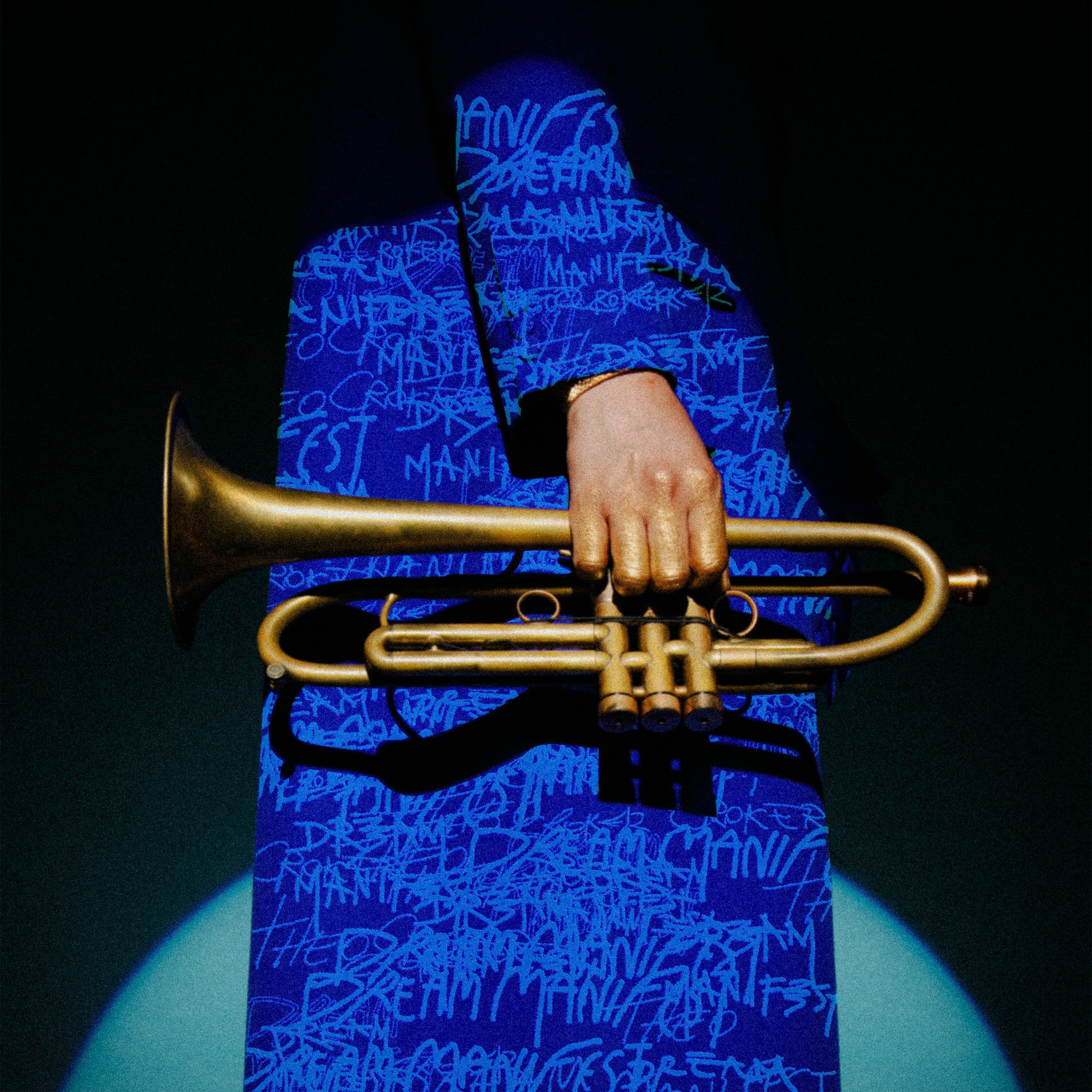 Album cover of Dream Manifest (Deluxe)