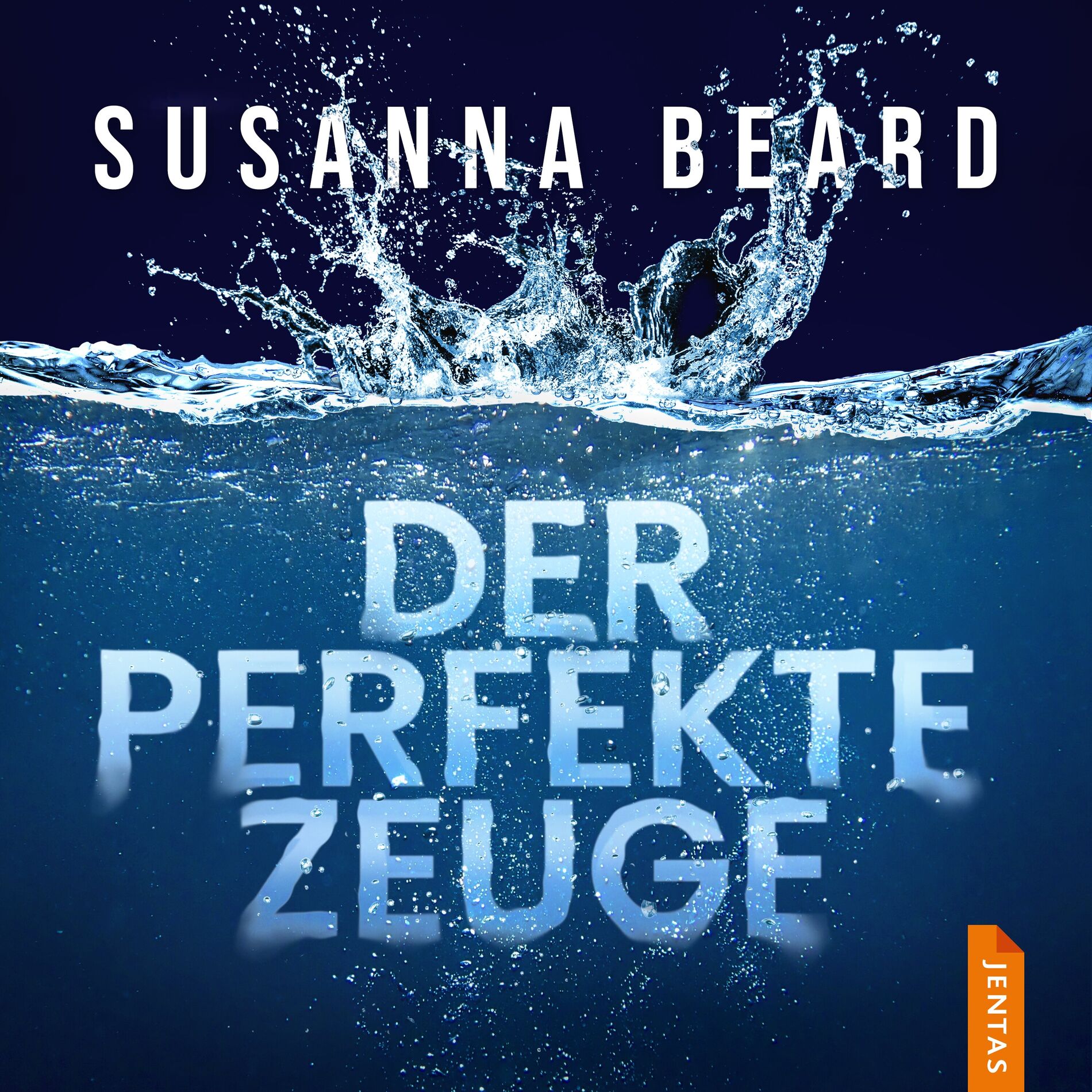 Album cover of Der perfekte Zeuge