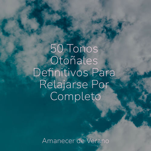 50 Tonos Otoñales Definitivos Para Relajarse Por Completo