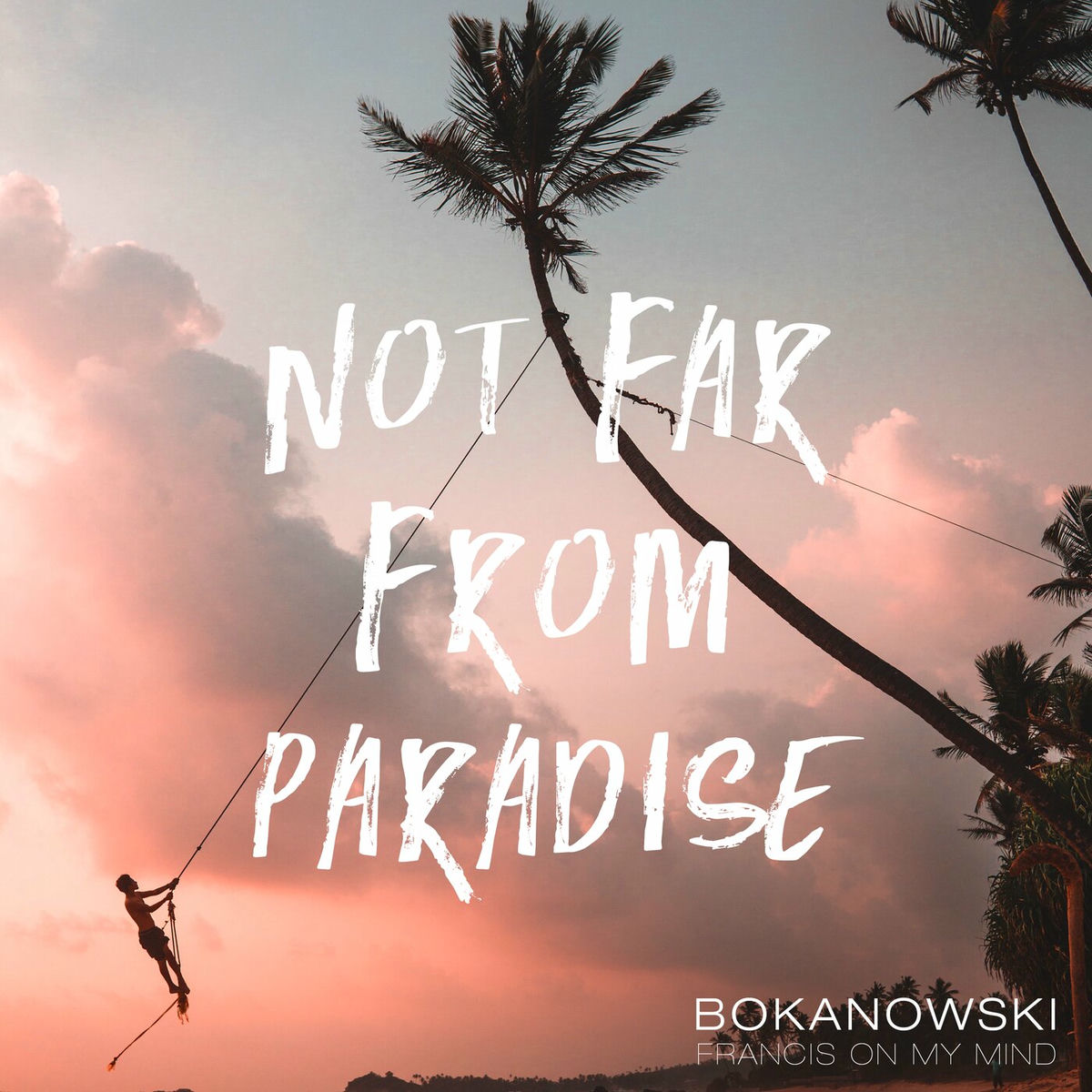 Album cover of Not Far From Paradise