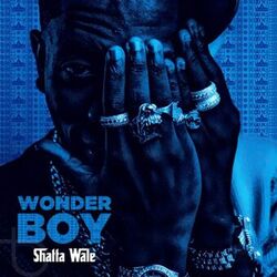 Cover of Wonder Boy