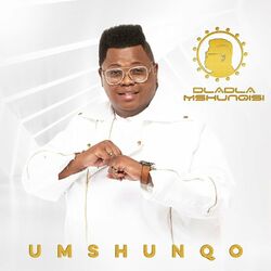 Cover of Umshunqo