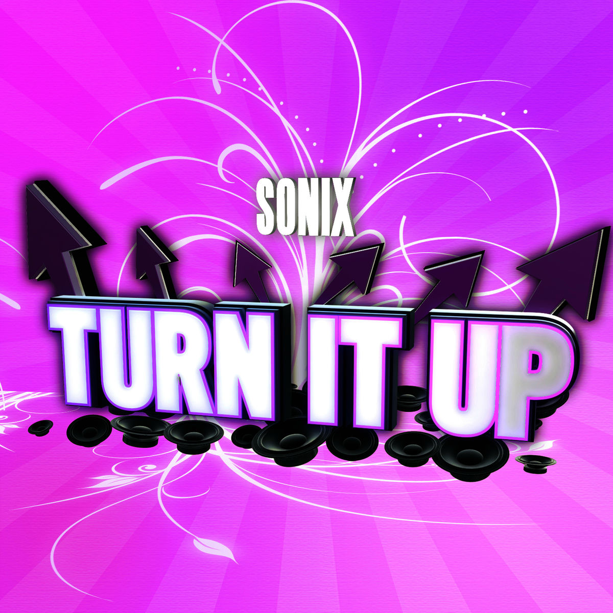 Album cover of Turn It Up