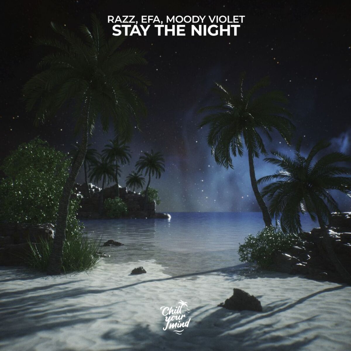 Album cover of Stay the Night