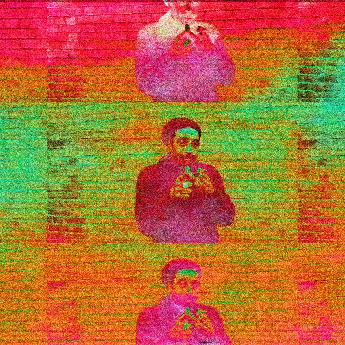 Album cover of Rapture 16
