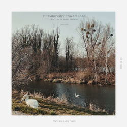 Capa de Tchaikovsky: Swan Lake, Act 2, No. 10: Scène. Moderato (piano solo)