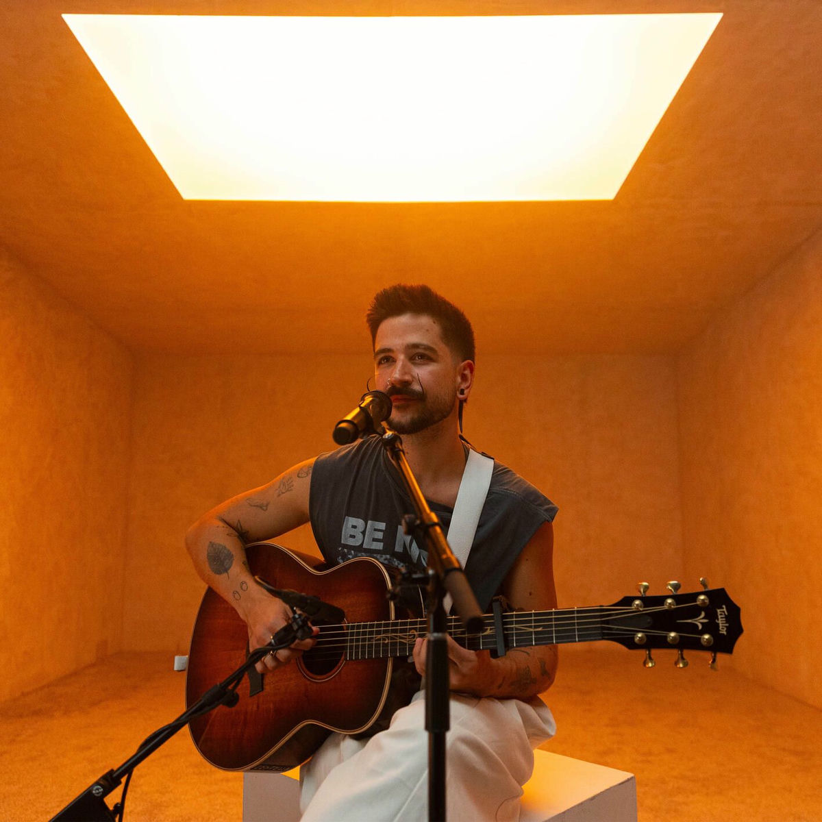 Album cover of Una Vida Pasada