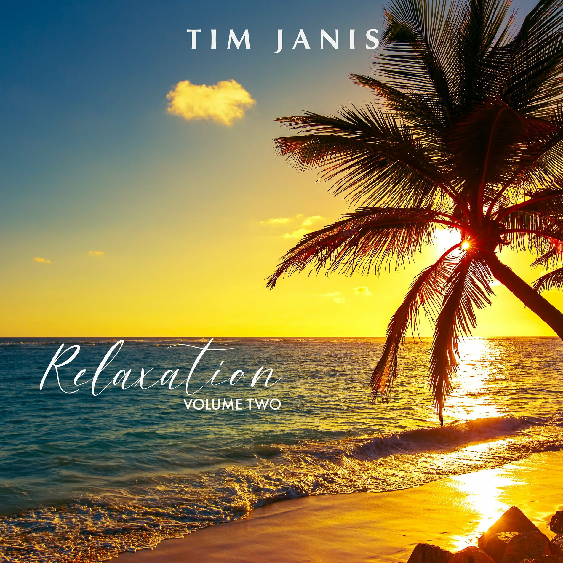 Album cover of Winter Pine