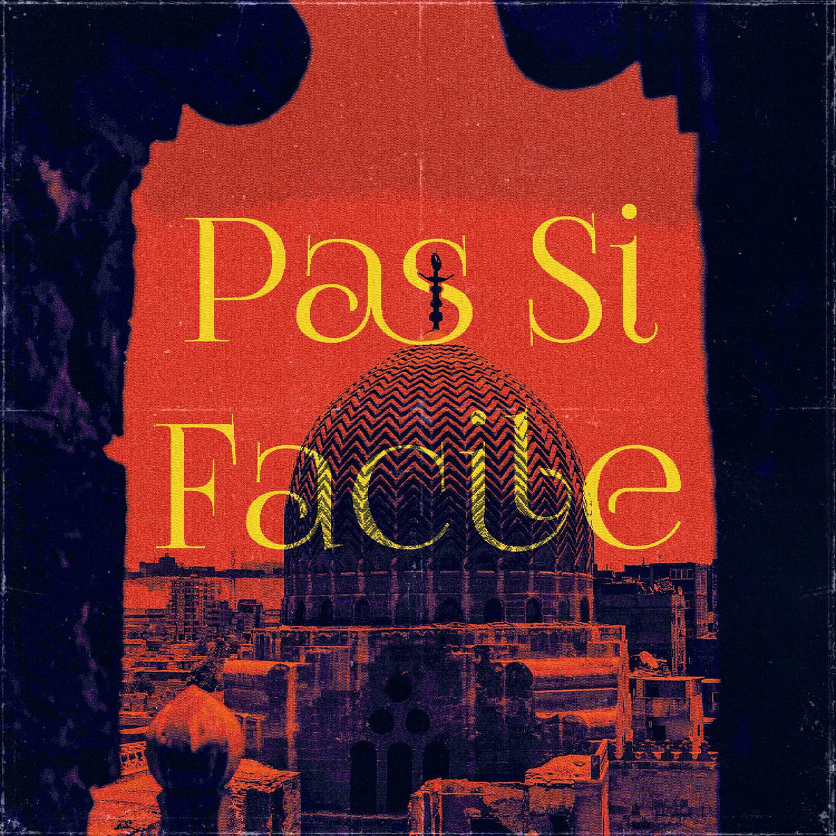 Album cover of PAS SI FACILE
