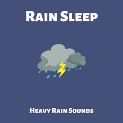Cover of Rain Sleep