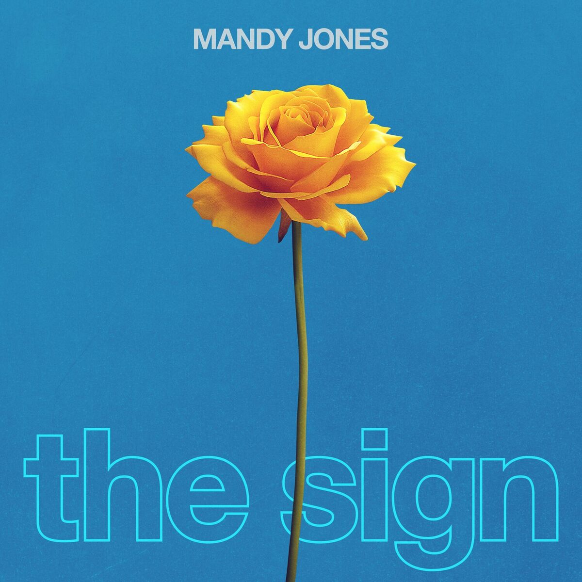 Album cover of The Sign