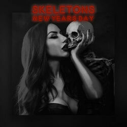 Cover of Skeletons (Radio Edit)