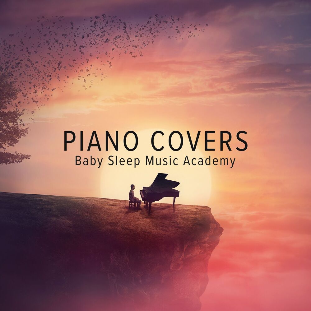Picture of Piano Covers