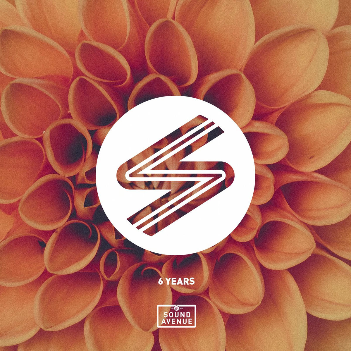 Album cover of 6 Years Sound Avenue