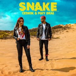 Cover of Snake