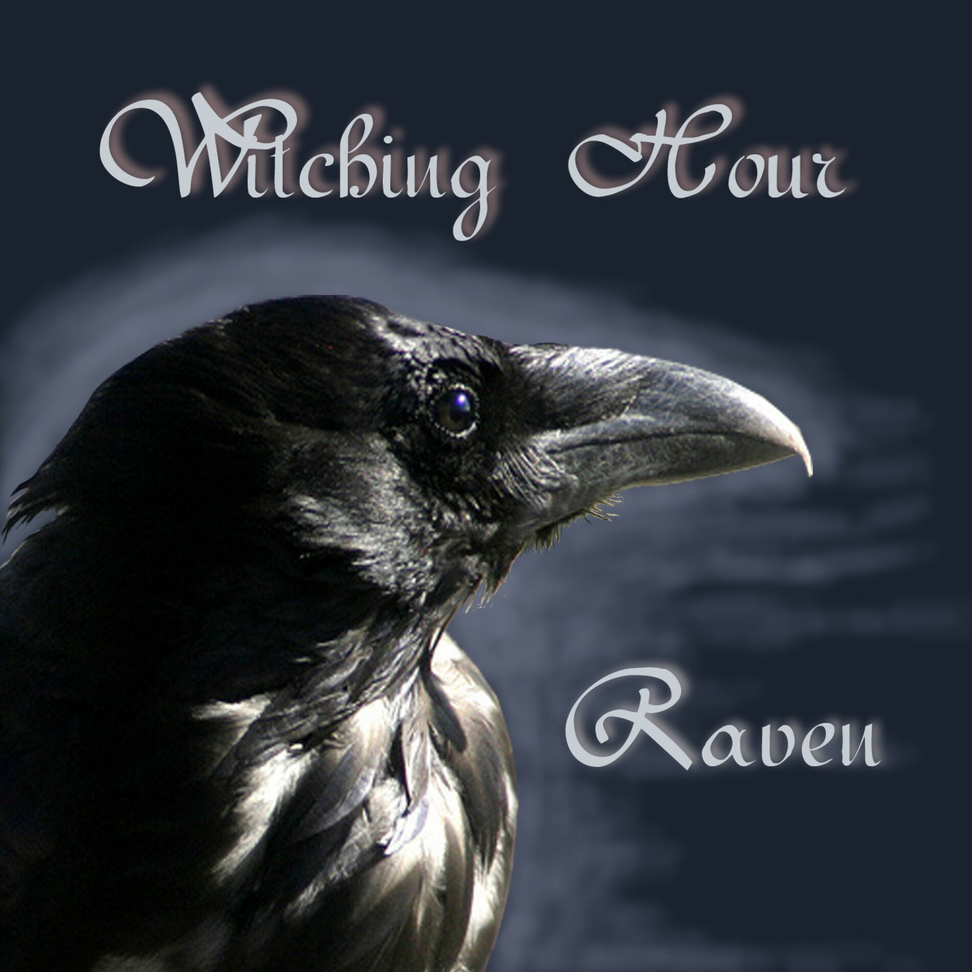 Album cover of Raven