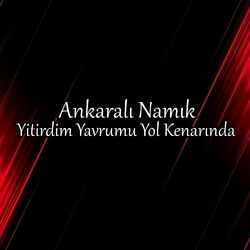 Cover of Yitirdim Yavrumu Yol Kenarında